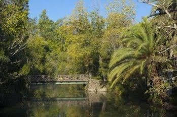 Termas Da Curia Spa Resort Exteriör bild